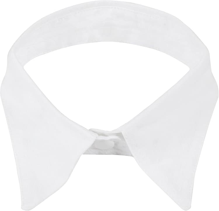 TRIXES Col Noeud Papillon Tour de Cou Blanc Détachable Peter Pan pour Femmes à la Mode